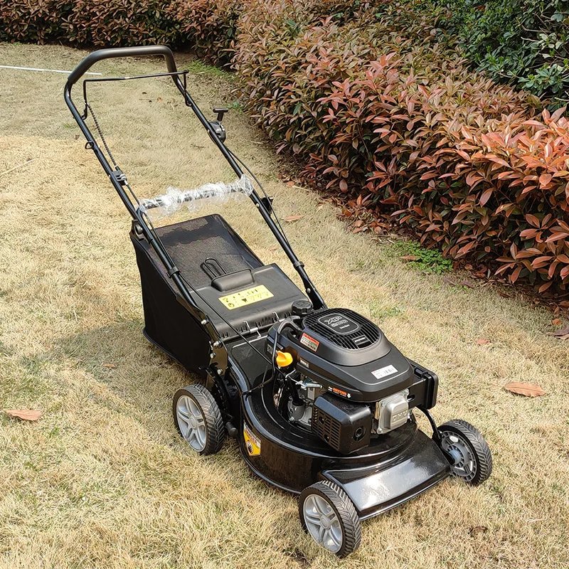 Tondeuse thermique 4 temps 196 cc coupe 46 cm 7 vitesses bac 60 L – image 1